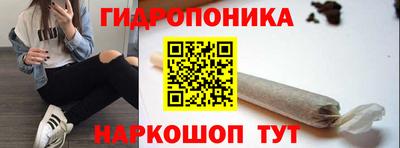 дмт Шелехов