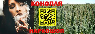 винт Шахты