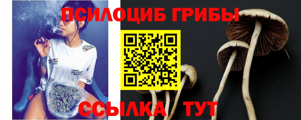 Псилоцибиновые грибы ЛСД Белорецк