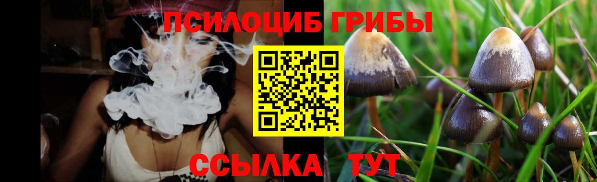 Белорецк  купить наркоту  Вход с VPN  Псилоцибиновые грибы прущие грибы  Псилоцибиновые грибы Cubensis 